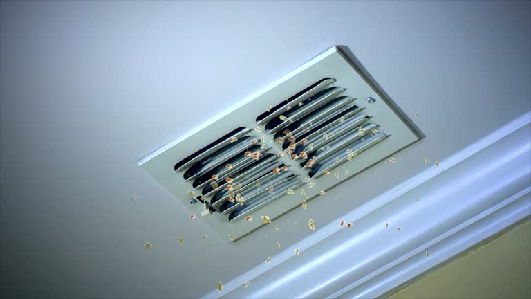 Best HVAC Duct Inspection Services  in Putney, GA
